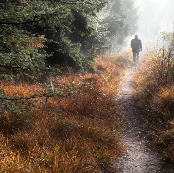 cual es el sentido de la vida