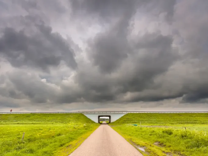 perspectiva de la vida