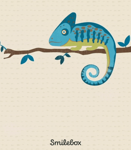 26 Memes de amor dulces, divertidos y románticos para la mujer que amas