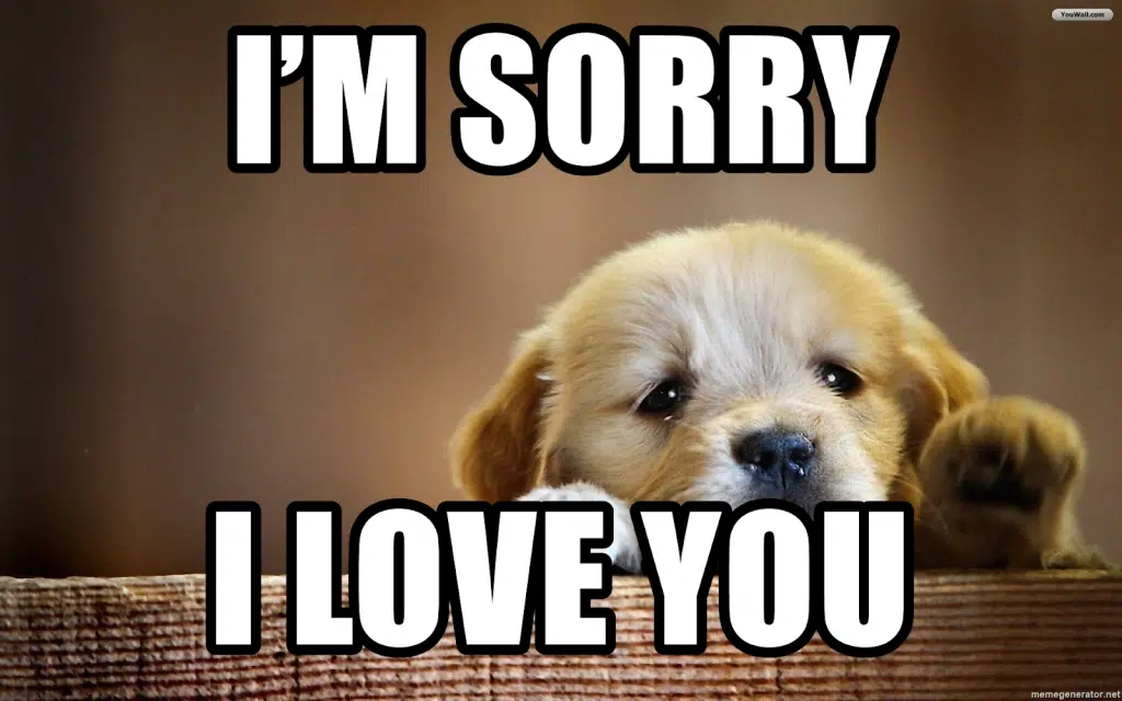 26 Memes de amor dulces, divertidos y románticos para la mujer que amas